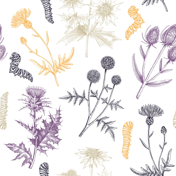 Summer background. Decorative thistle plants texture in sketch style. Hand drawn wildflowers seamless pattern. Dried plants drawing floral design for textile, fabric, wrapping paper, packaging